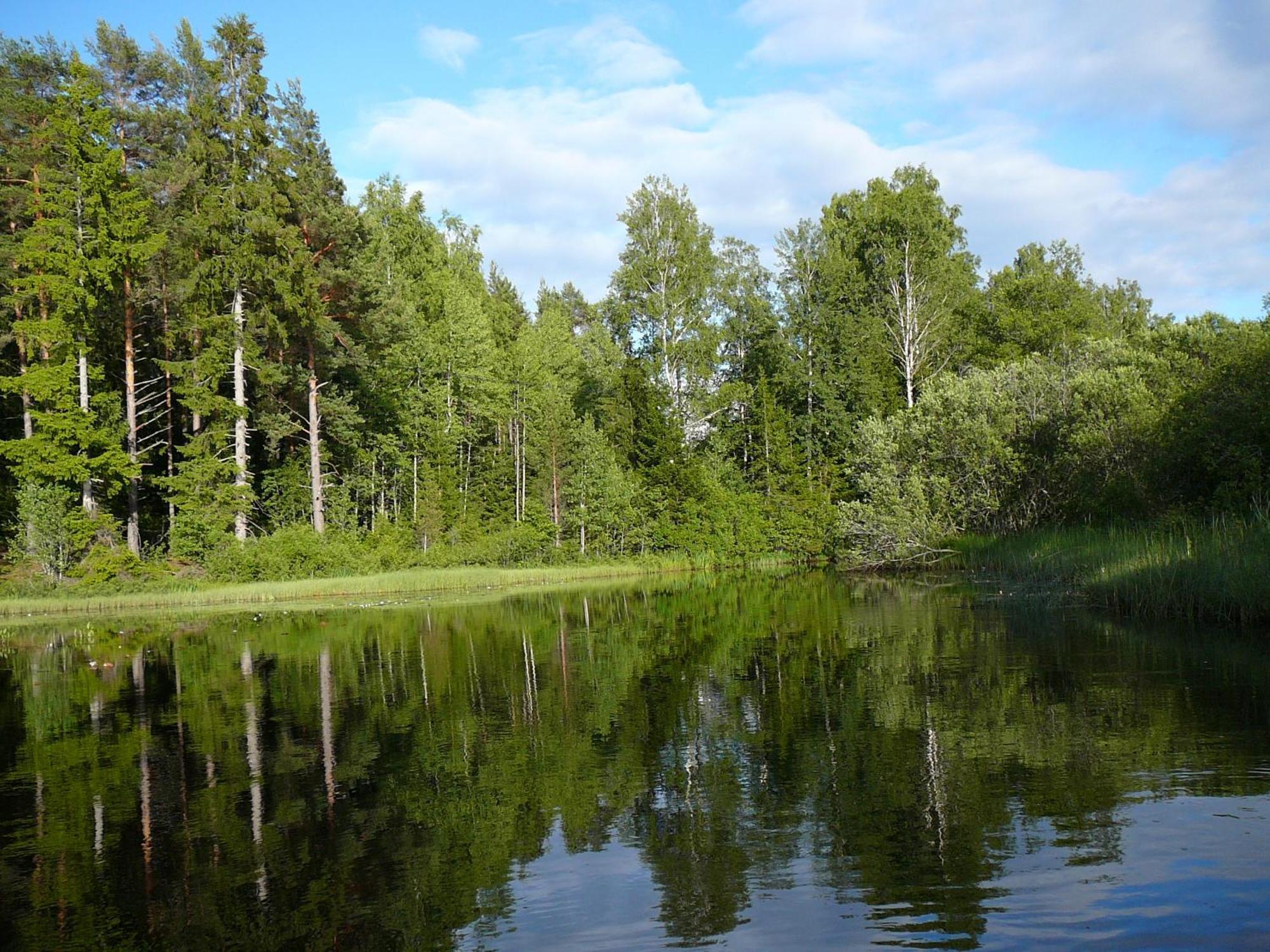 Loenneberga Vandrarhem & Hostel Kültér fotó